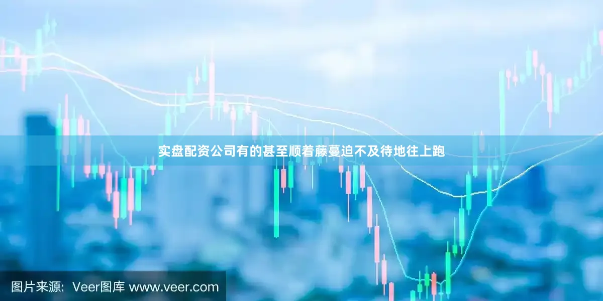 实盘配资公司有的甚至顺着藤蔓迫不及待地往上跑